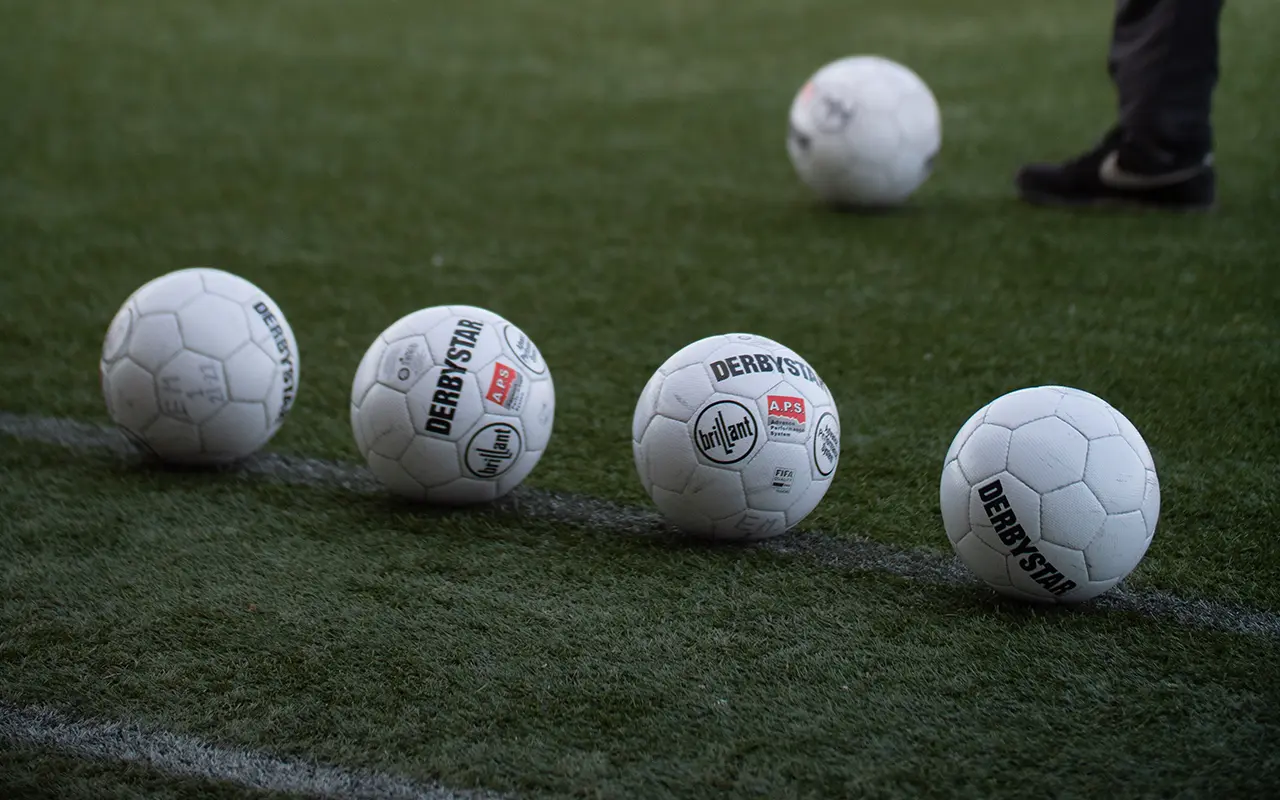 ijsselmeervogels_diamantsponsor_01