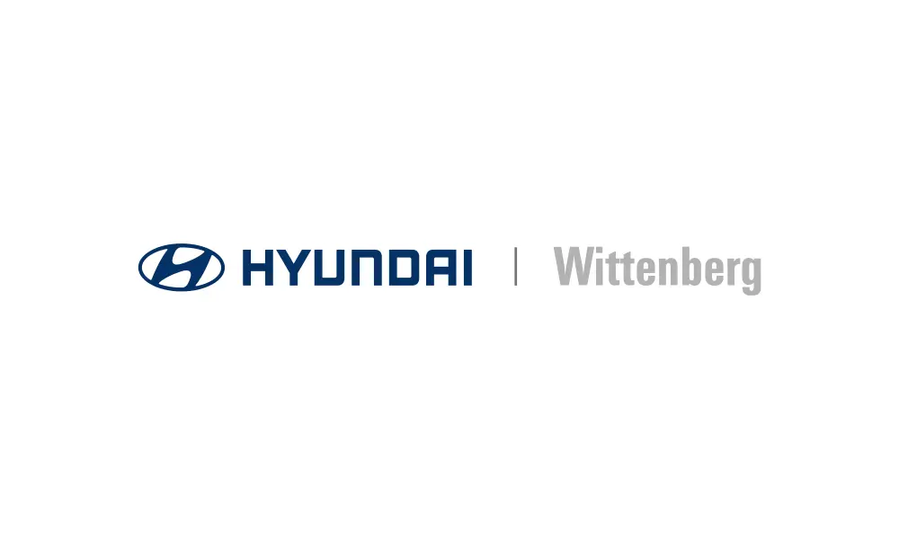 ijsselmeervogels_hyundaiwittenberg