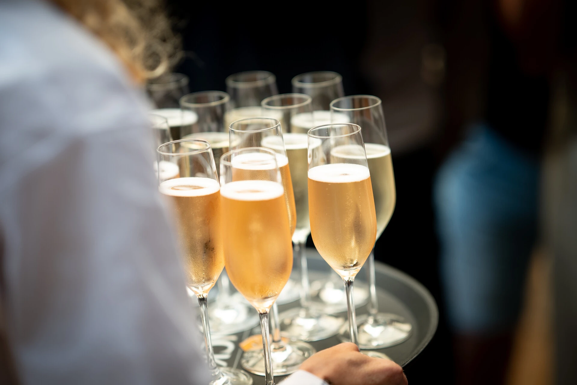 ijsselmeervogels_ladiesnight