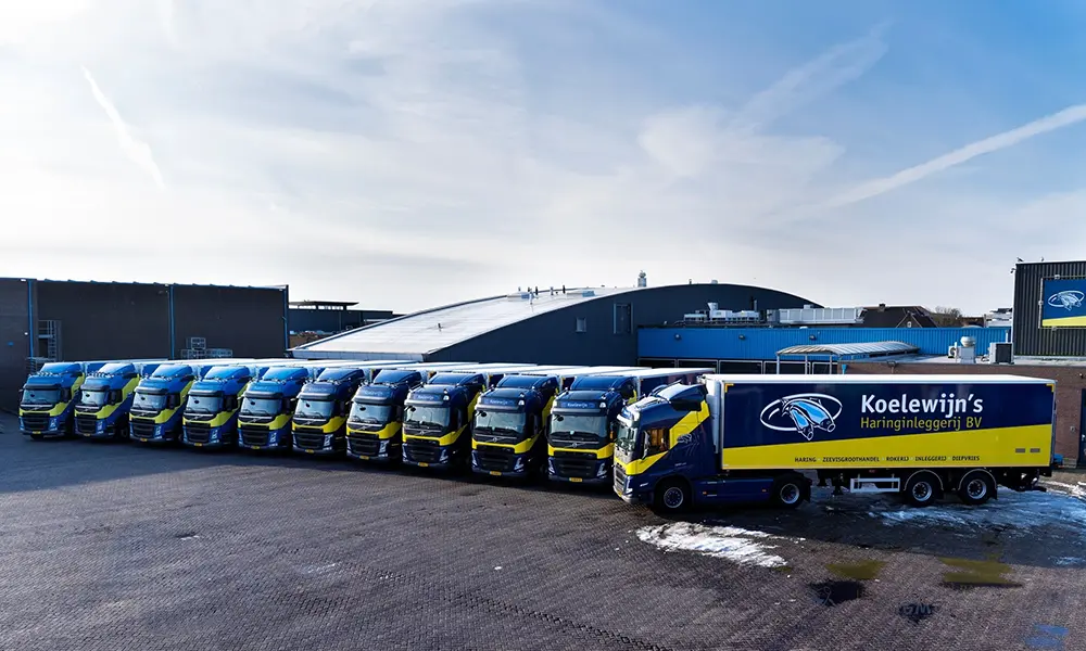 ijsselmeervogels_sponsor_uitgelicht_koelewijns_haringinleggerij_01