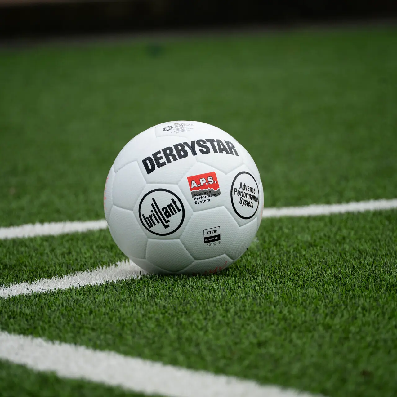 ijsselmeervogels_wedstrijdsponsor_uitgelicht